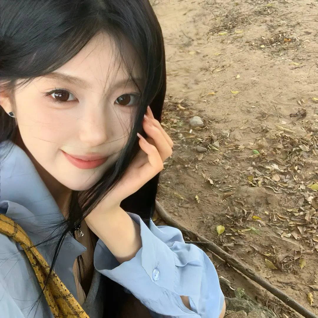 迷蝶